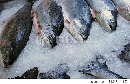 fish sea salmon lie on the ice in the store or in the kitchen fish sea salmon lie on the ice in the store or in the kitchen 58224117