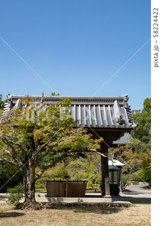 神戸・太山寺・手水舎 神戸・太山寺・手水舎 58224422