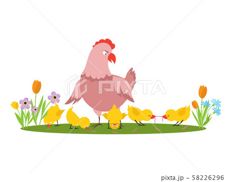 Cartoon character hen and little chickens in the meadow vector isolated on white background Cartoon character hen and little chickens in the meadow vector isolated on white background 58226296