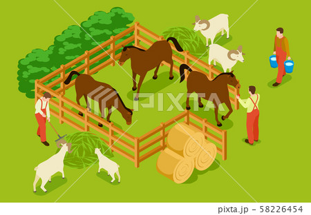 Animal farm, livestock with horses, goats, sheeps and workers isometric vector illustration Animal farm, livestock with horses, goats, sheeps and workers isometric vector illustration 58226454