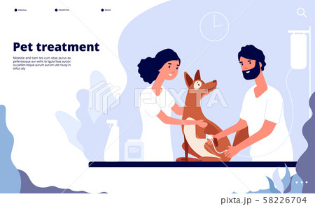 Veterinary landing. Veterinarian treats pet in clinic. Treatment, counseling and care for pets Veterinary landing. Veterinarian treats pet in clinic. Treatment, counseling and care for pets 58226704