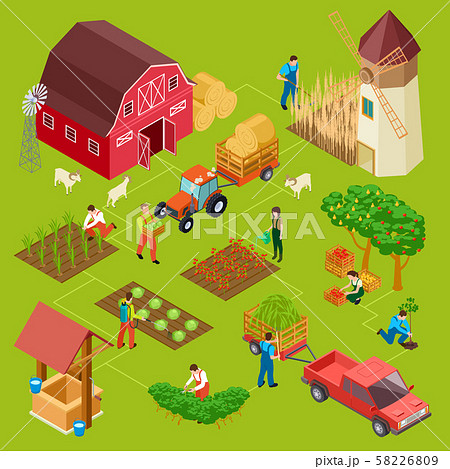 Fruits and vegetables farm, isometric gardening vector concept 58226809