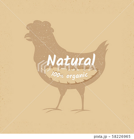 Organic chicken vintage vector logo design banner Organic chicken vintage vector logo design banner 58226965