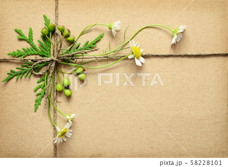 Wrapped box tied with daisy flowers thuja twigs 58228101