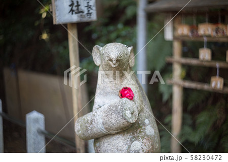 大豊神社、椿の花を身にまとった大国社の狛鼠 大豊神社、椿の花を身にまとった大国社の狛鼠 58230472