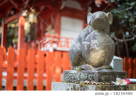 大豊神社、椿の花を身にまとった大国社の狛鼠 大豊神社、椿の花を身にまとった大国社の狛鼠 58230480