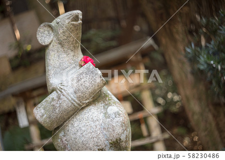大豊神社、椿の花を身にまとった大国社の狛鼠 58230486