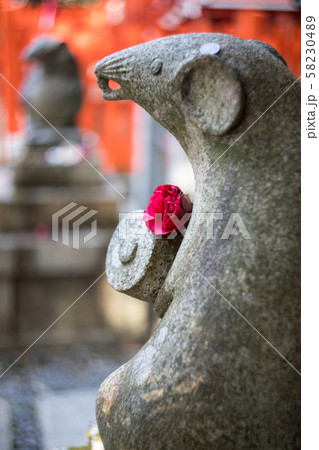 大豊神社、椿の花を身にまとった大国社の狛鼠 58230489