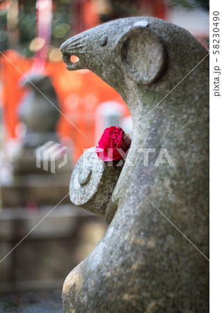 大豊神社、椿の花を身にまとった大国社の狛鼠 大豊神社、椿の花を身にまとった大国社の狛鼠 58230490