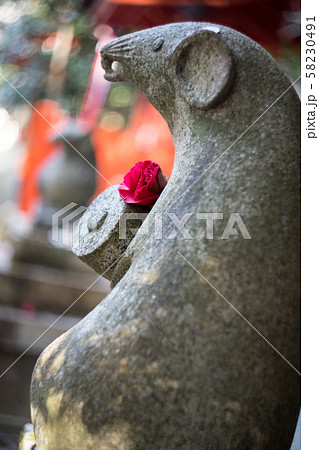 大豊神社、椿の花を身にまとった大国社の狛鼠 大豊神社、椿の花を身にまとった大国社の狛鼠 58230491