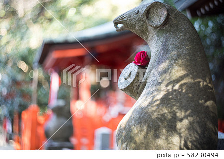 大豊神社、椿の花を身にまとった大国社の狛鼠 大豊神社、椿の花を身にまとった大国社の狛鼠 58230494