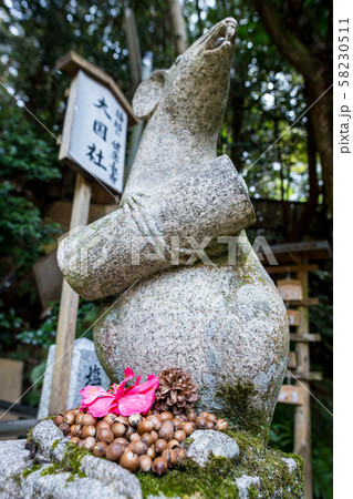 大豊神社、大国社の狛鼠、椿の花と木の実のお供え物 58230511