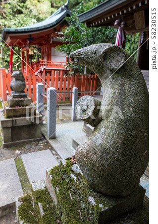大豊神社、大国社の狛鼠、椿の花と木の実のお供え物 58230515