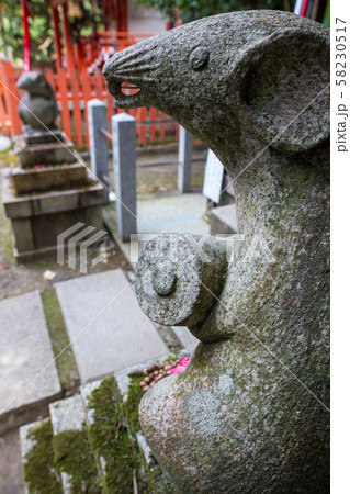 大豊神社、大国社の狛鼠、椿の花と木の実のお供え物 大豊神社、大国社の狛鼠、椿の花と木の実のお供え物 58230517