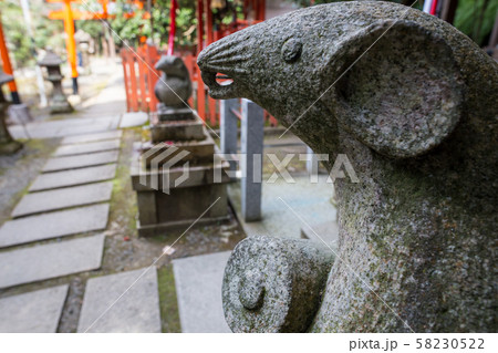 大豊神社、大国社の狛鼠、椿の花と木の実のお供え物 58230522