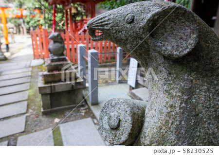 大豊神社、大国社の狛鼠、椿の花と木の実のお供え物 大豊神社、大国社の狛鼠、椿の花と木の実のお供え物 58230525