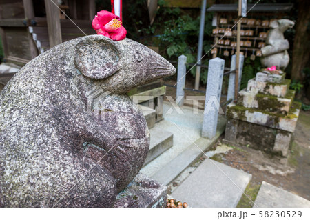 大豊神社、大国社の狛鼠、椿の花と木の実のお供え物 58230529
