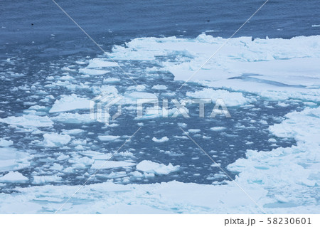 オホーツク海の流氷 58230601
