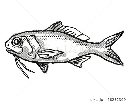 Berndt's Beardfish Australian Fish Cartoon Retro Berndt's Beardfish Australian Fish Cartoon Retro 58232309