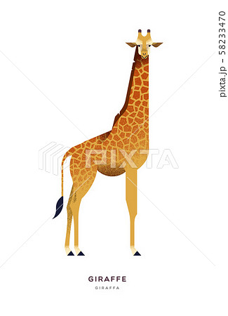 African giraffe isolated wild zoo or safari animal 58233470