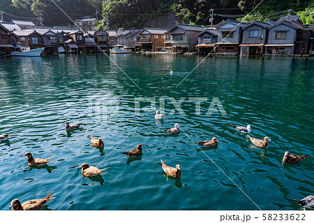 京都府　伊根の舟屋　海からの眺め　水鳥たち 58233622