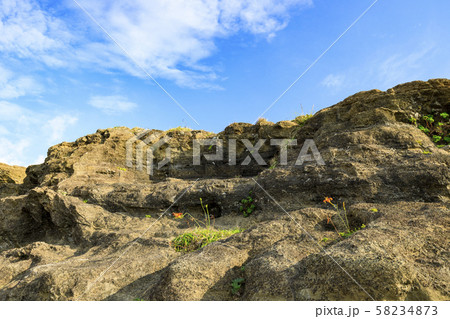 黒崎の鼻（秋） 58234873