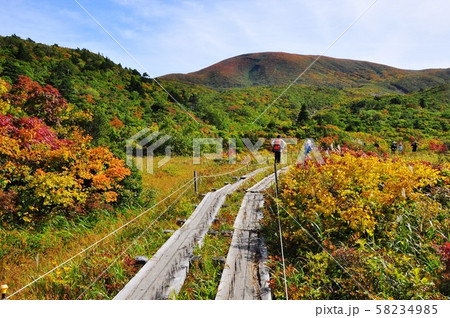 栗駒国定公園　栗駒山名残ケ原の登山道と紅葉 58234985