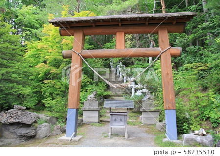 紅桜公園にある開拓神社の夏の鳥居 紅桜公園にある開拓神社の夏の鳥居 58235510