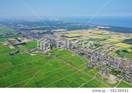 新潟県胎内市の空撮 58236042