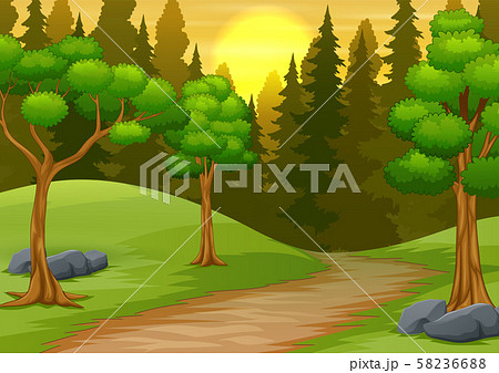 Forest landscape on sunset scene 58236688