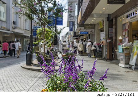 【元町通り】 58237131