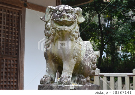 狛犬(阿形像)（志貴御県坐神社(磯城瑞籬宮(しきのみずかきのみや)跡)／奈良県桜井市金屋） 58237141
