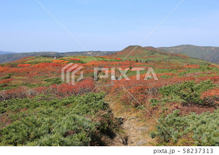 三ツ石山 紅葉 三ツ石山 紅葉 58237313
