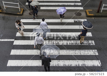【梅雨 傘 横断歩道】 【梅雨 傘 横断歩道】 58237323