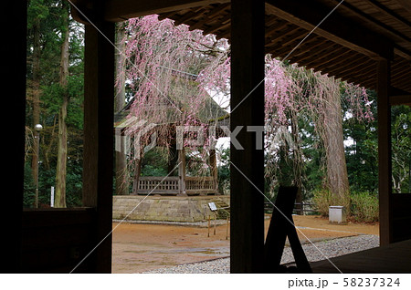 飯高寺(千葉県匝瑳市) 飯高寺(千葉県匝瑳市) 58237324