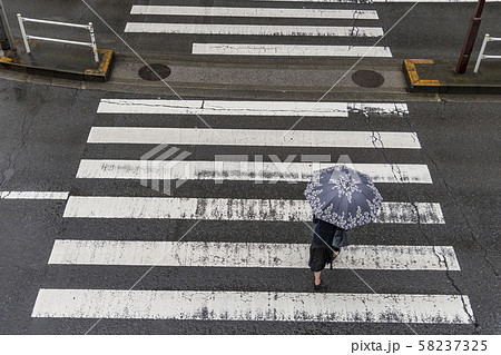 【梅雨 傘 横断歩道】 【梅雨 傘 横断歩道】 58237325