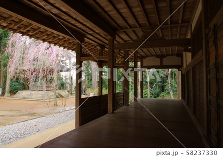 飯高寺(千葉県匝瑳市) 飯高寺(千葉県匝瑳市) 58237330