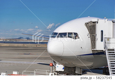 【羽田空港　第2旅客ターミナル】 58237545