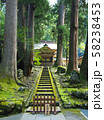 夏の永平寺　勅使門（唐門） 58238453