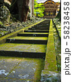 夏の永平寺　勅使門（唐門）への参道 58238458
