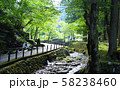 永平寺　清流 58238460