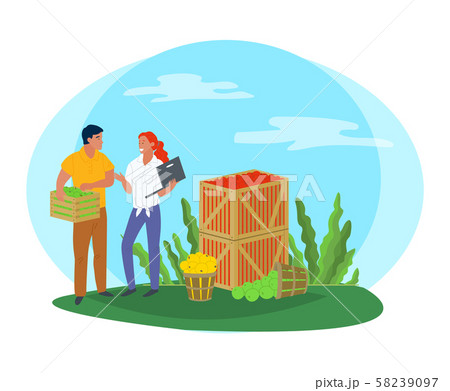 Picking Apples in Container, Local Fruit Vector Picking Apples in Container, Local Fruit Vector 58239097