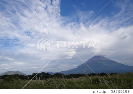 富士山とススキ 58239198