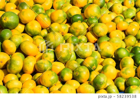 ミカンのテクスチャー　素材　背景　ちぎり立て　美味しい 58239538