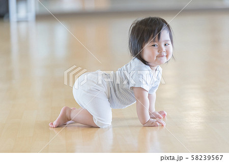 1 year old 1 year old 58239567