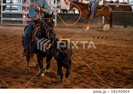 Calf Roping In Australia Calf Roping In Australia 58240004