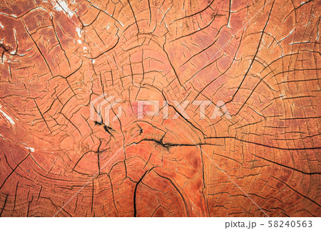 wood crack background 58240563