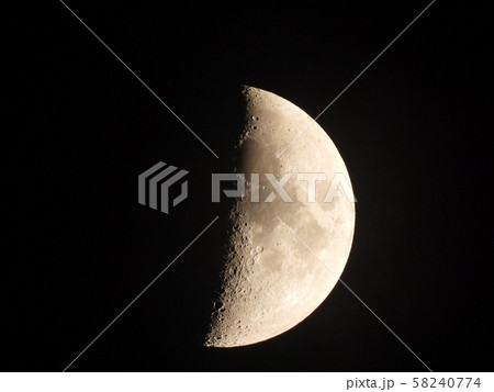 半月 半月 58240774