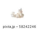 Close up Popcorn isolated on white background with space 58242246
