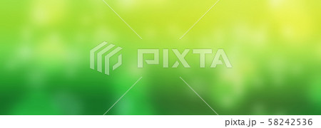 Abstract blurry image of green leaves with bokeh and sunlight in background. 58242536